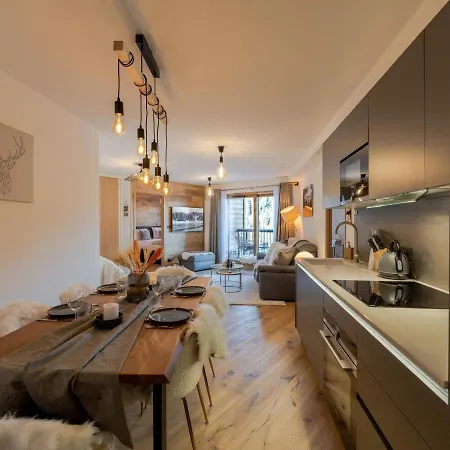 Moderne Proche Des Pistes Avec Parking Et Wifi - Fr-1-563-128