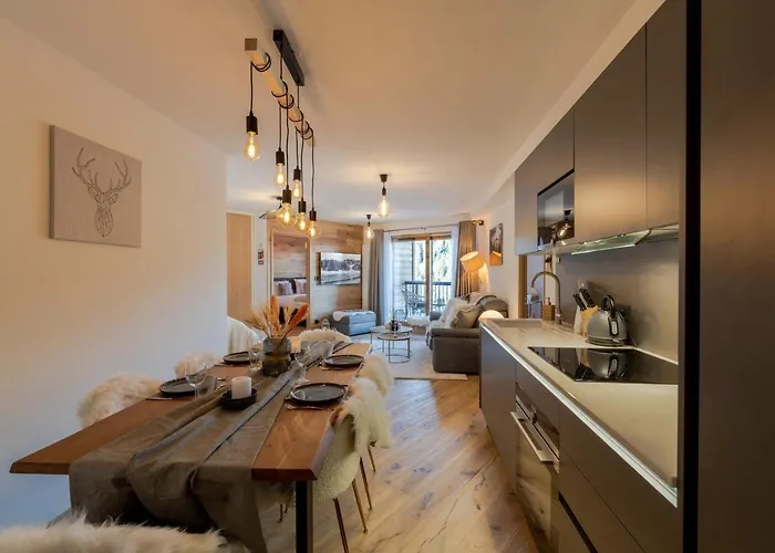 Moderne Proche Des Pistes Avec Parking Et Wifi - Fr-1-563-128