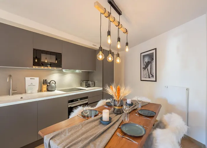 Daire Moderne Proche Des Pistes Avec Parking Et Wifi - Fr-1-563-128 *